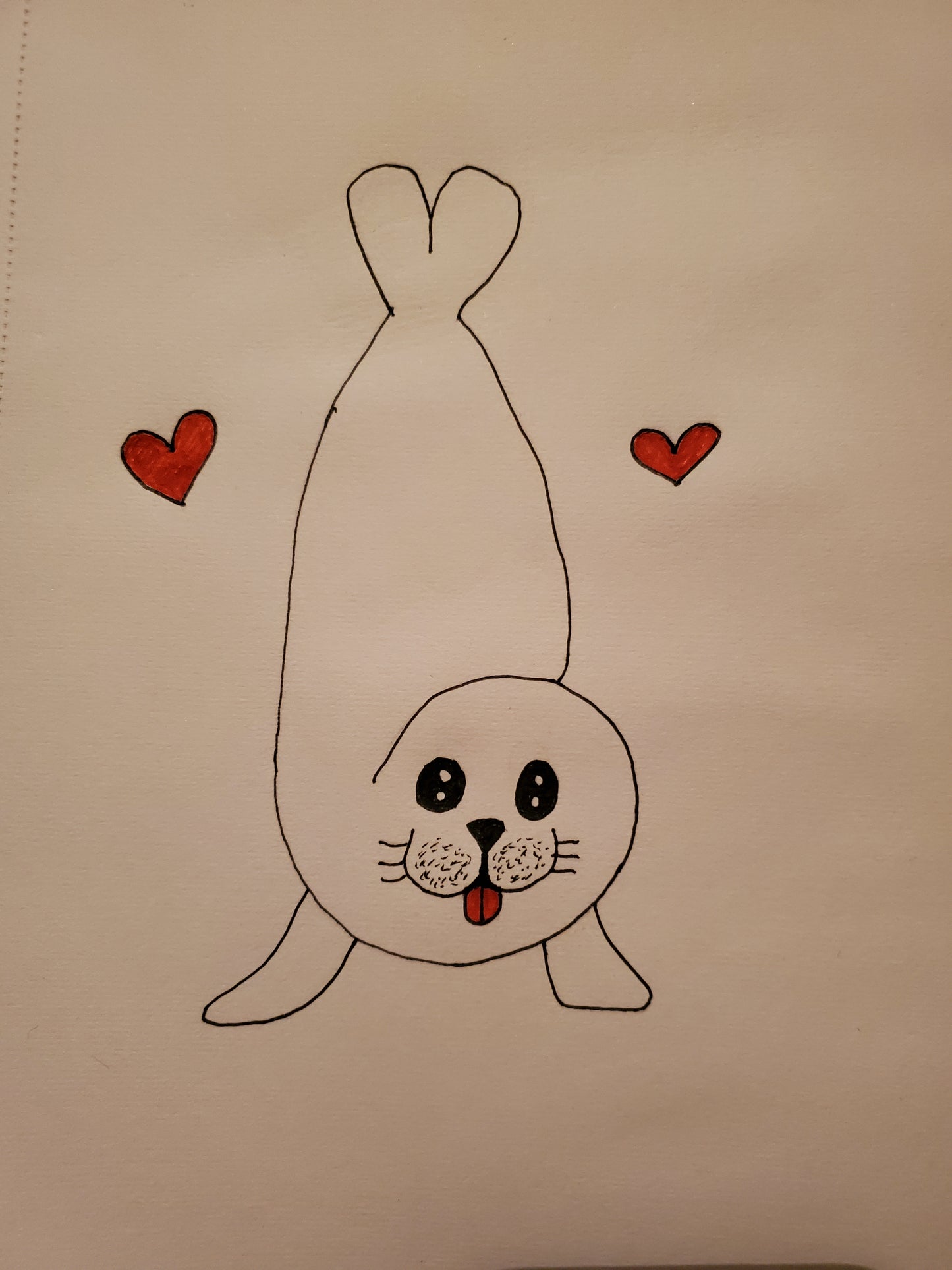 A cute seal