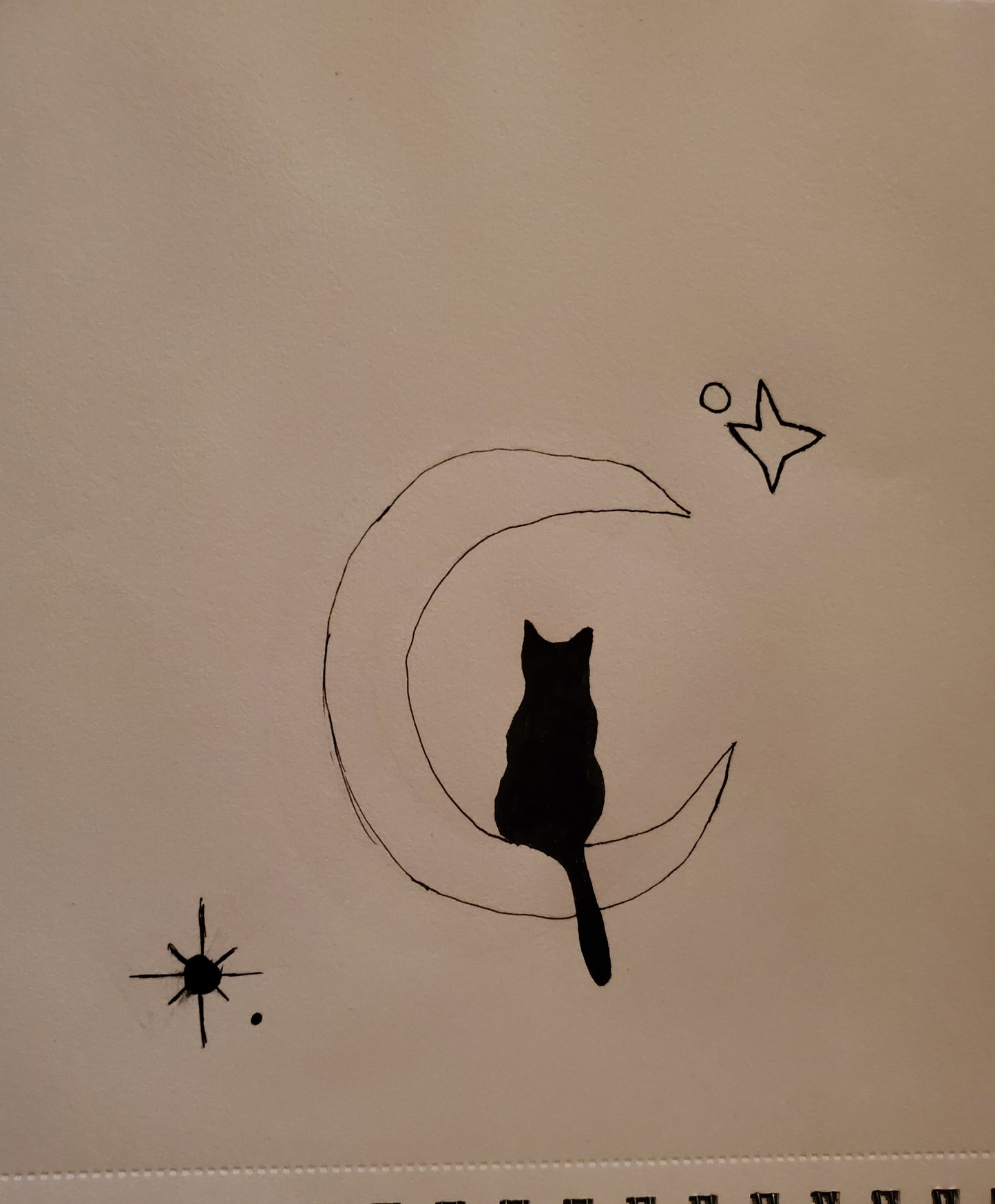 Cat sitting on the moon
