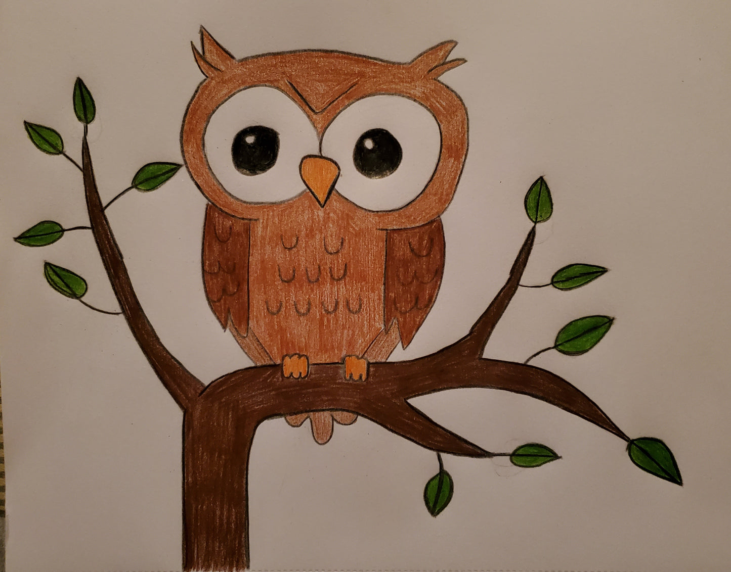 Owl in a tree