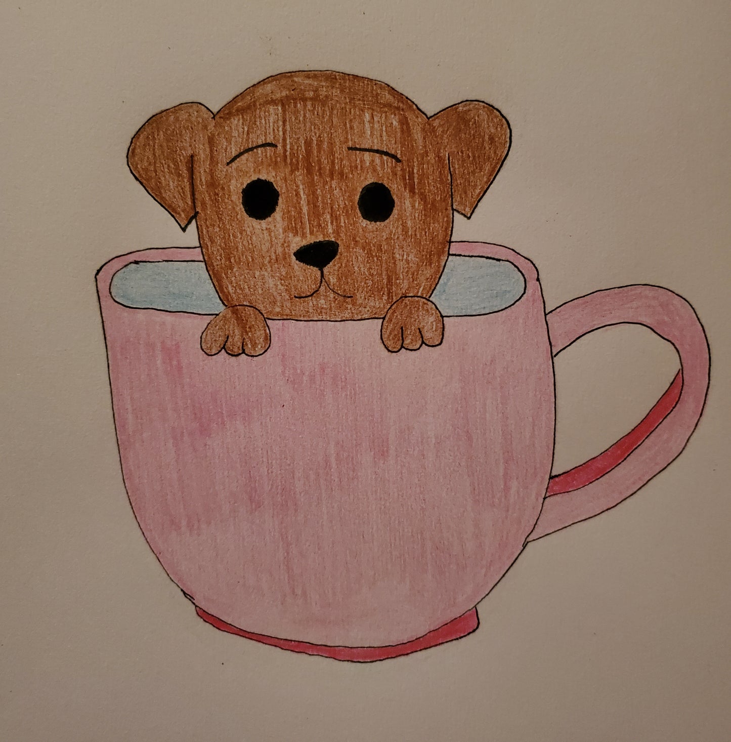 Teacup puppy