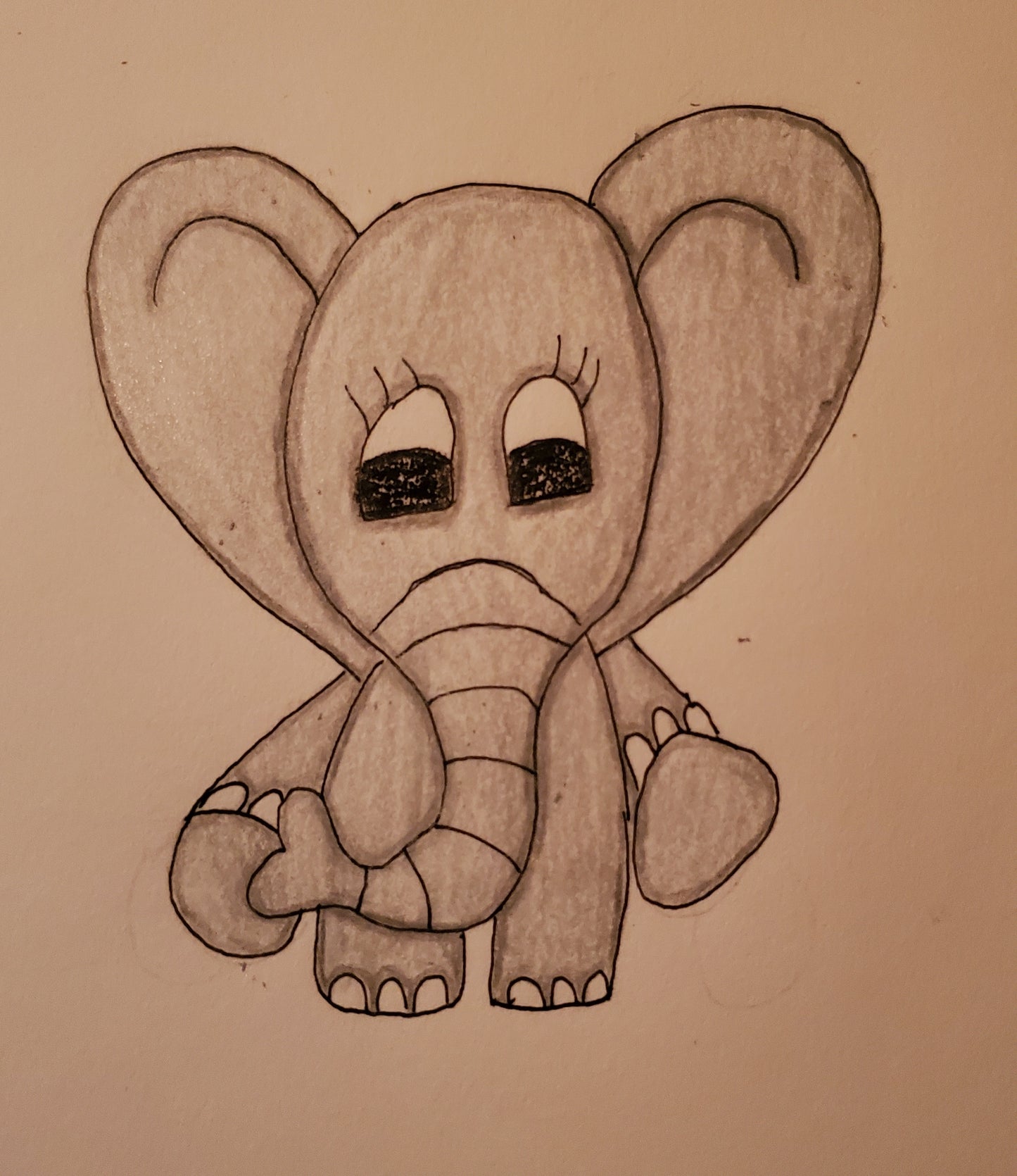 Baby elephant
