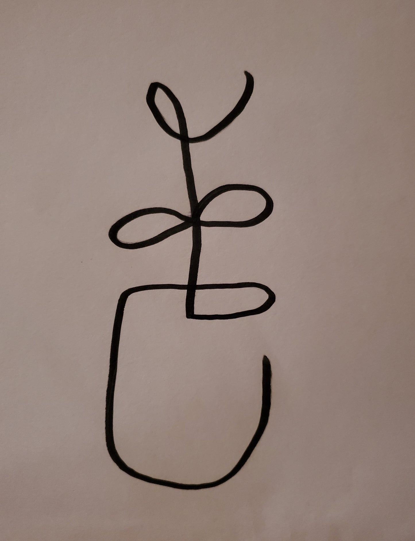 Lines turned into a plant