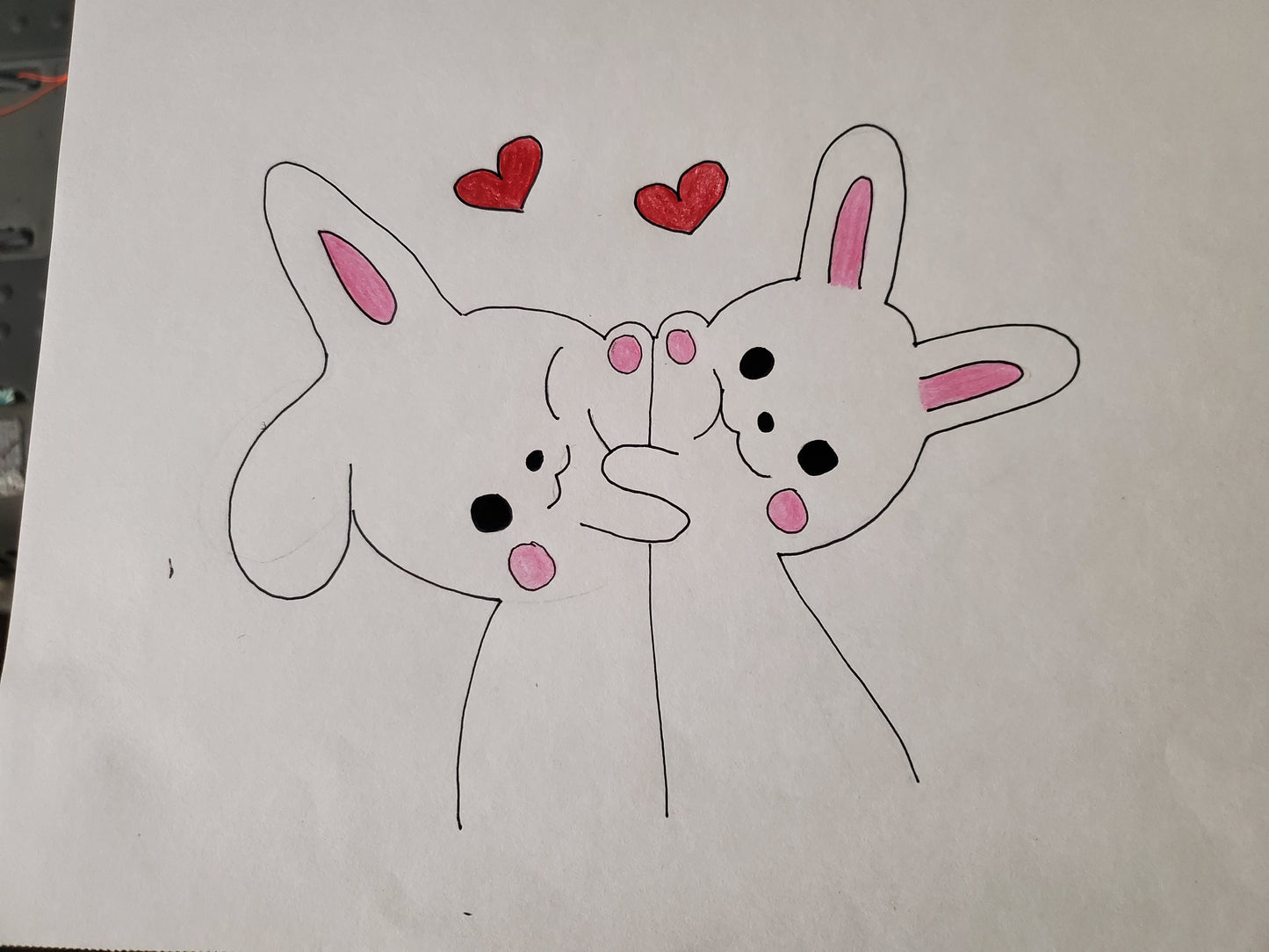 2 cute bunnies hugging