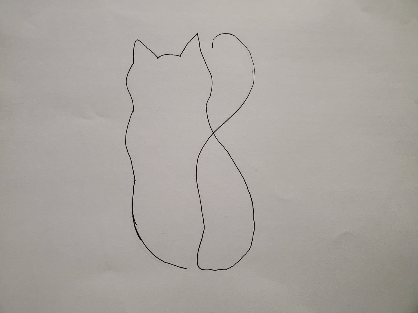 Cat drawn out of an outline