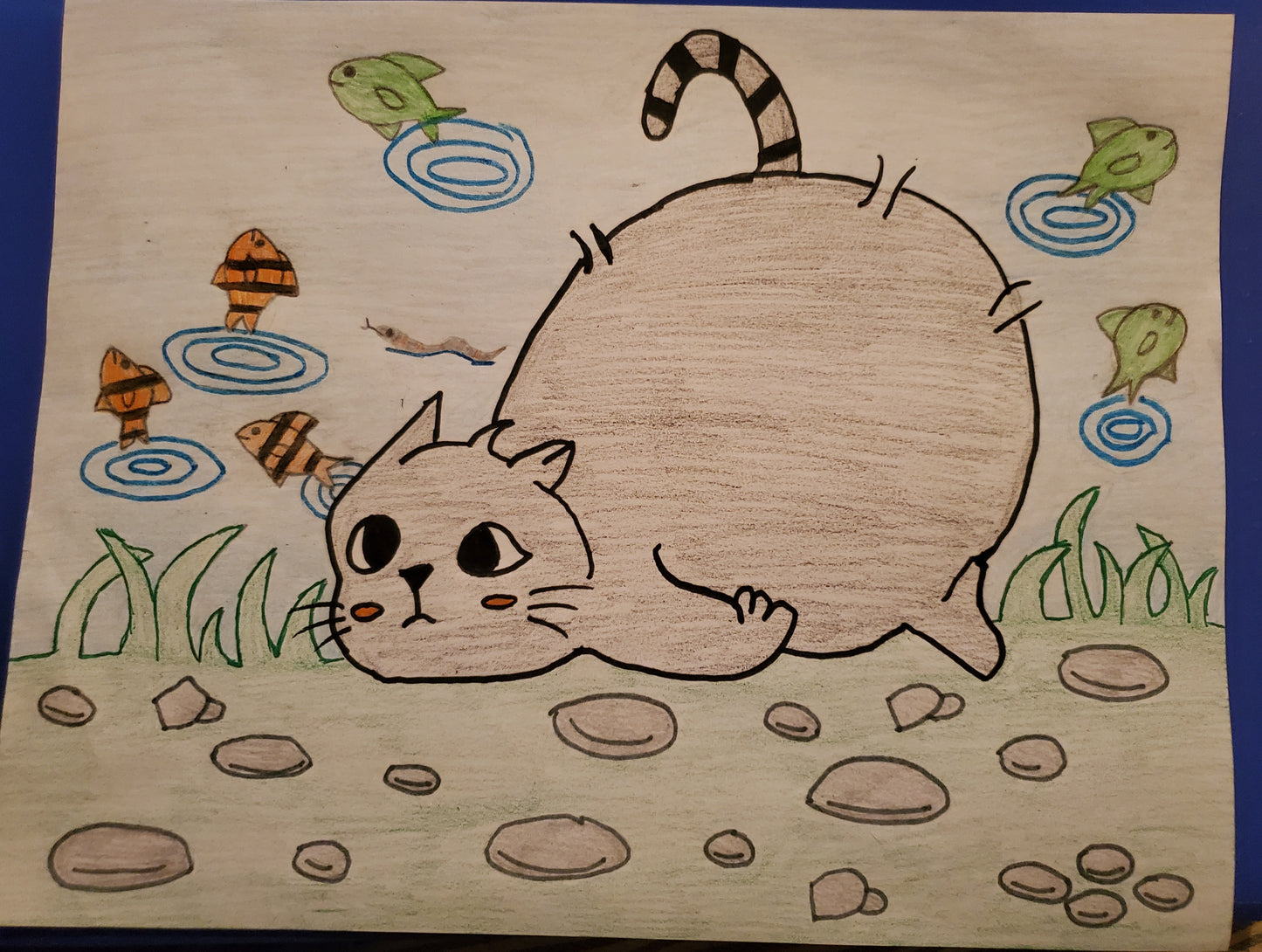 Cat watching for fish