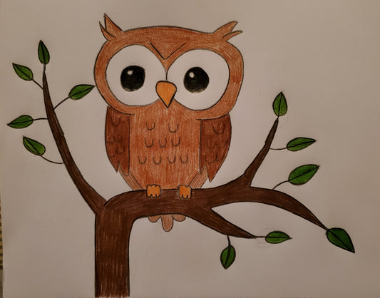Owl in a tree