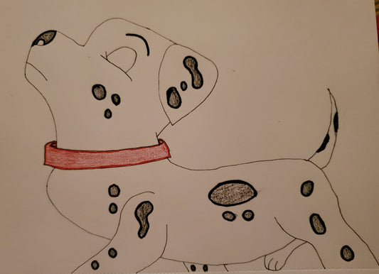 Dalmation