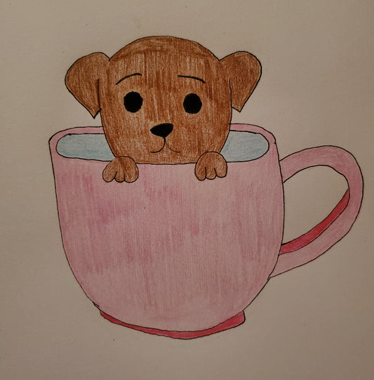 Teacup puppy