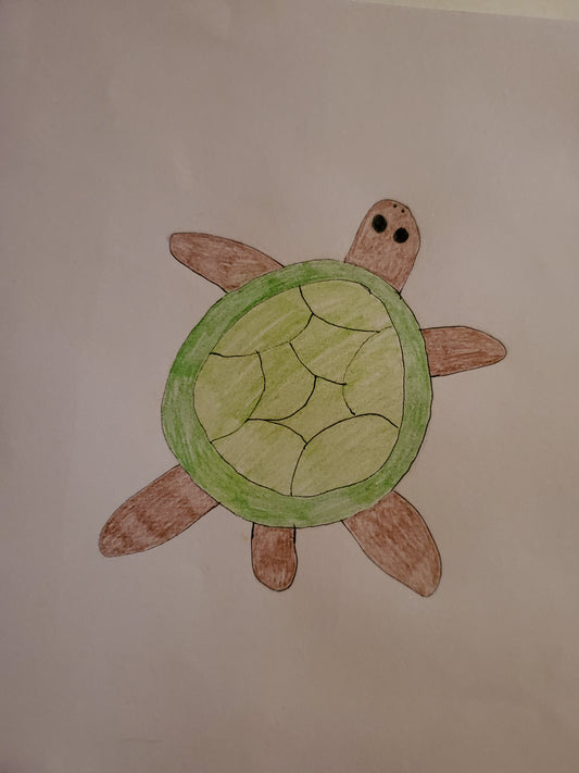 Turtle