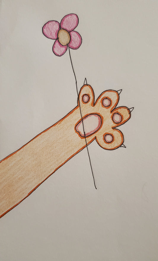 Orange cat holding or picking a flower