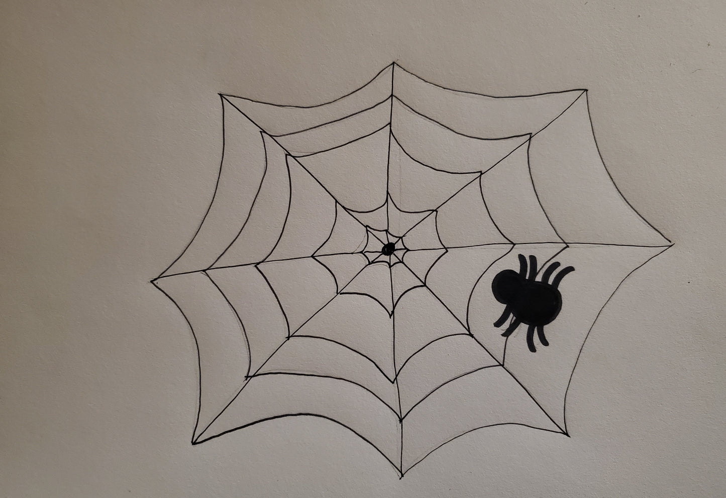 Spider and spider web