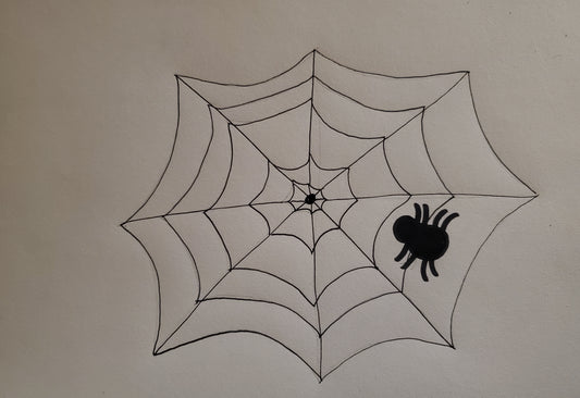 Spider and spider web