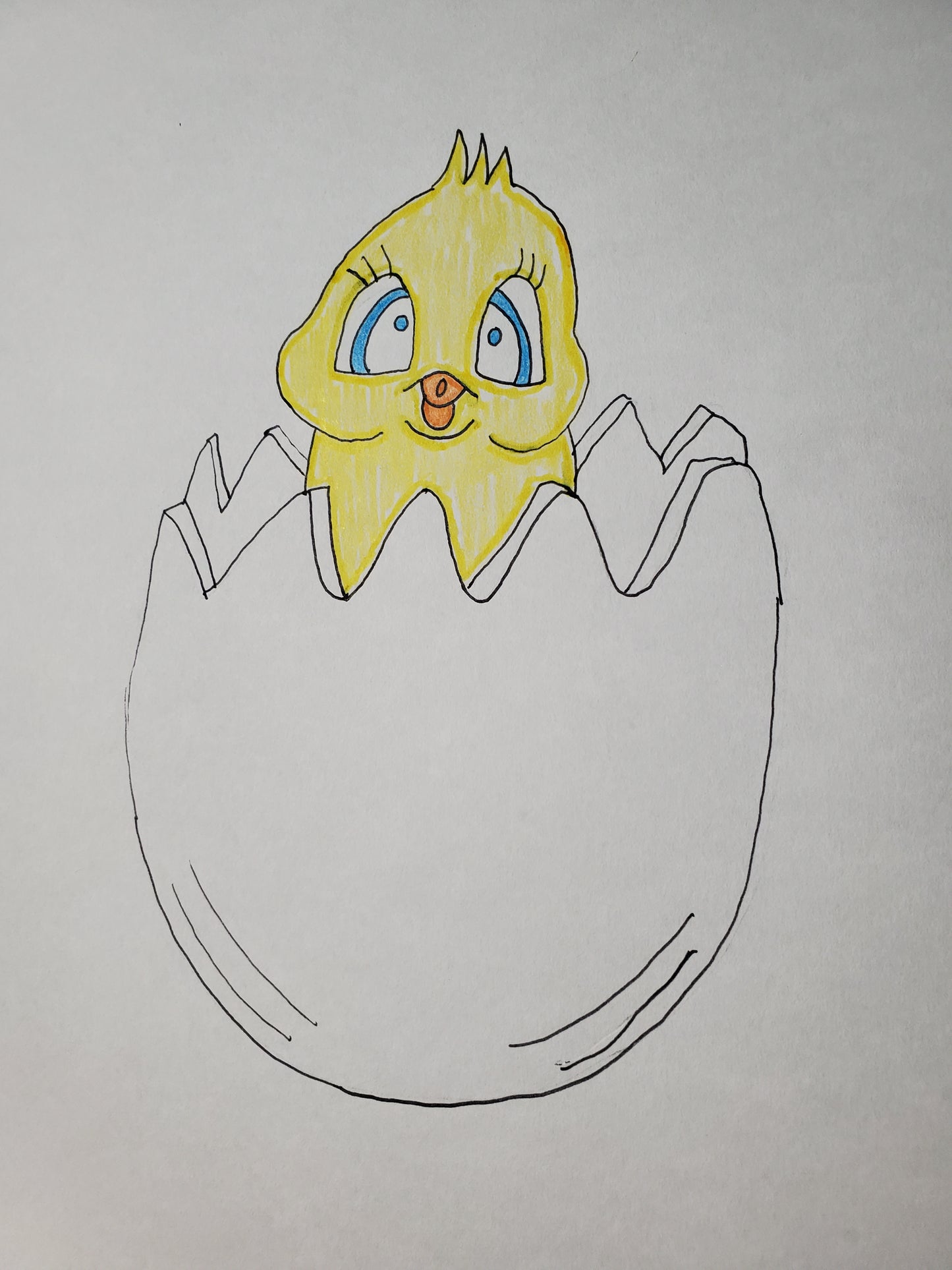 Chick hatching from an egg