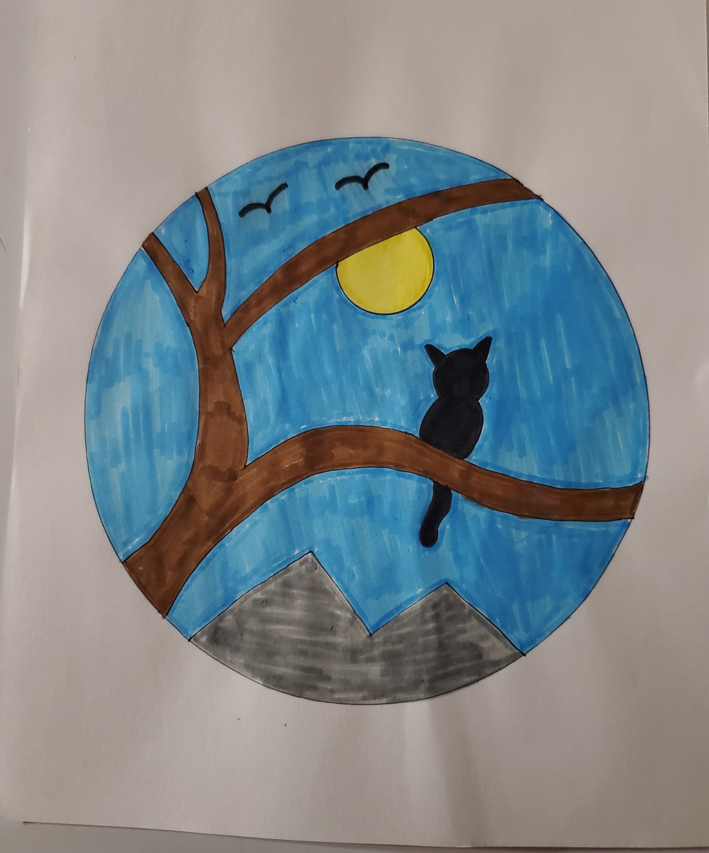 Cat looking at the sun