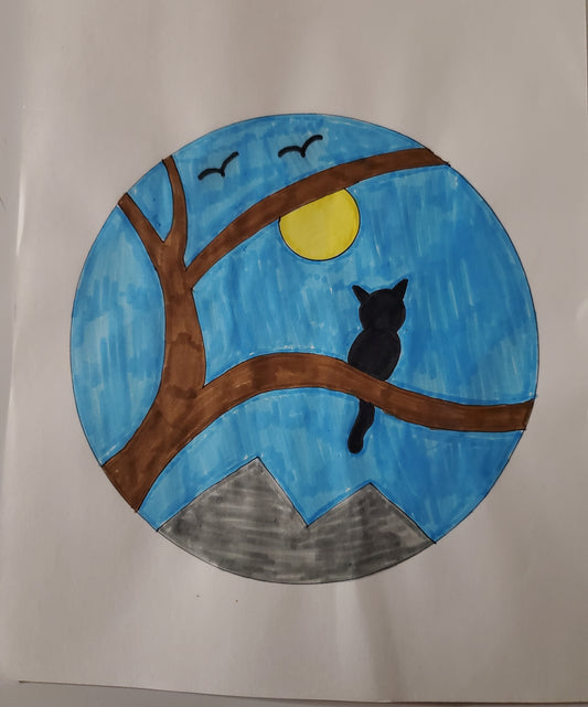 Cat looking at the sun