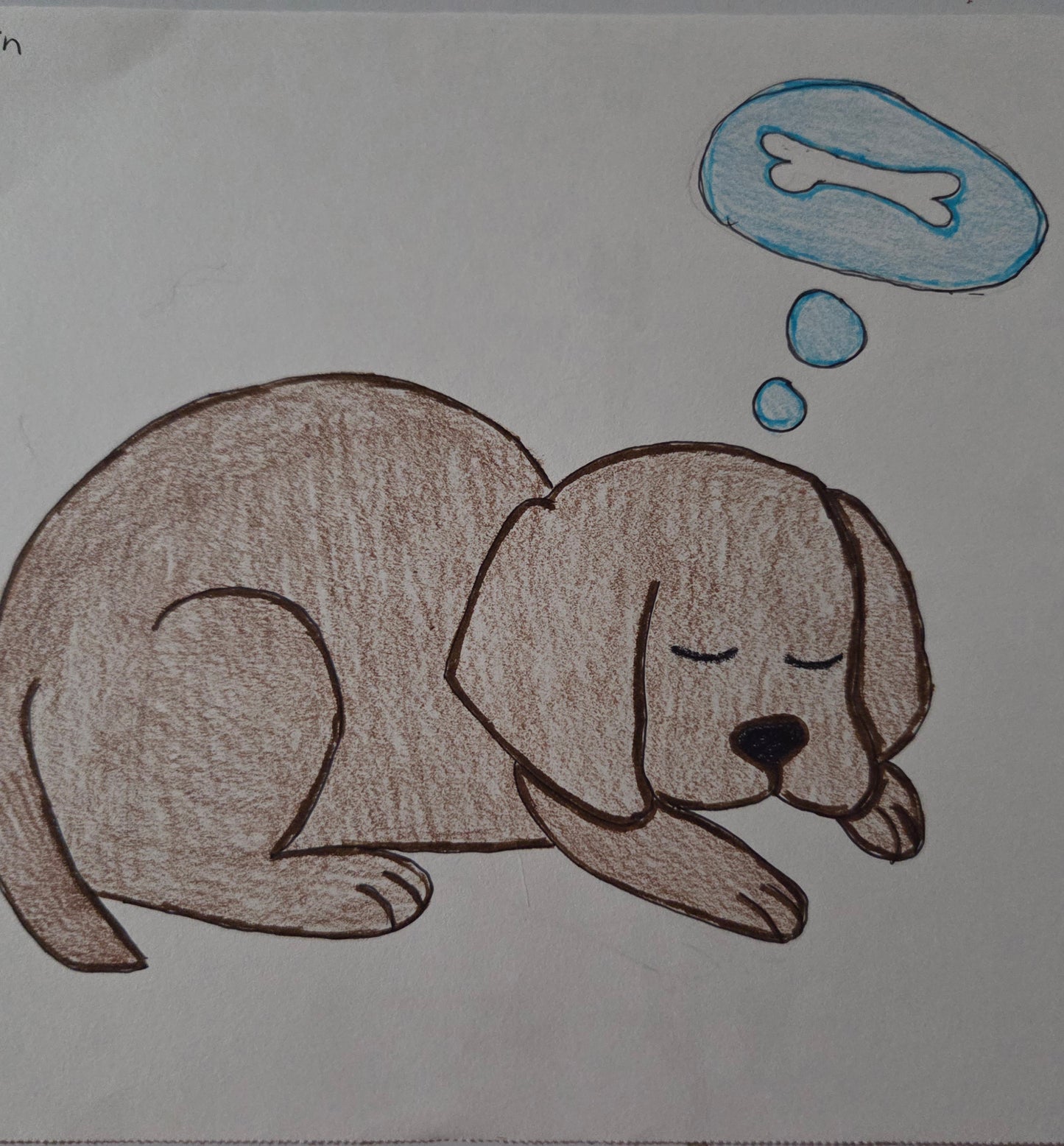 Puppy sleeping
