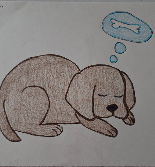 Puppy sleeping
