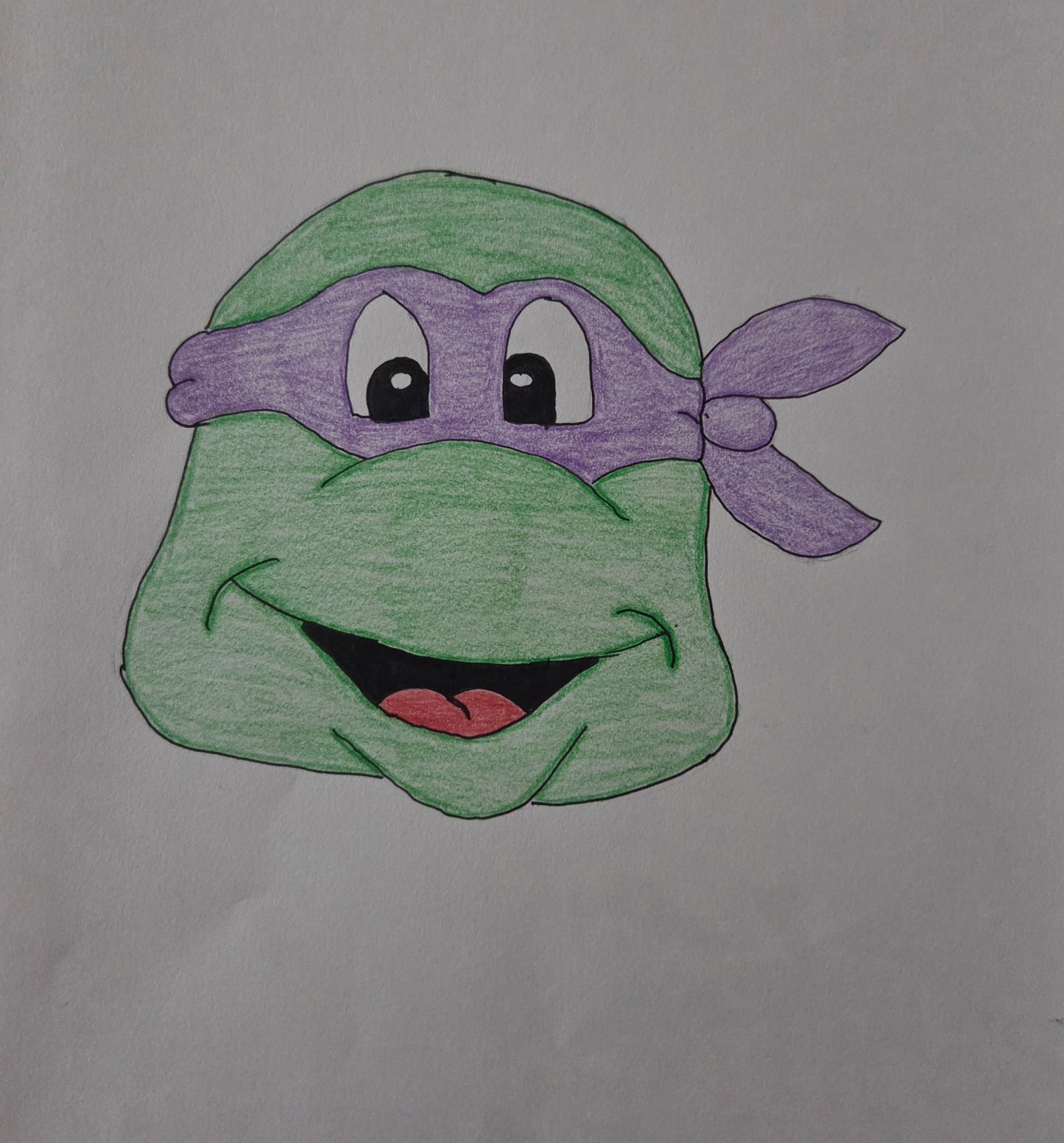 A Ninja Turtle