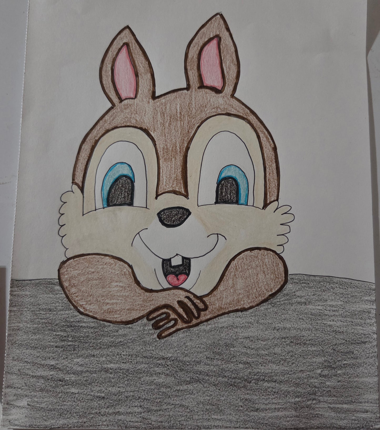 A cute squirrel