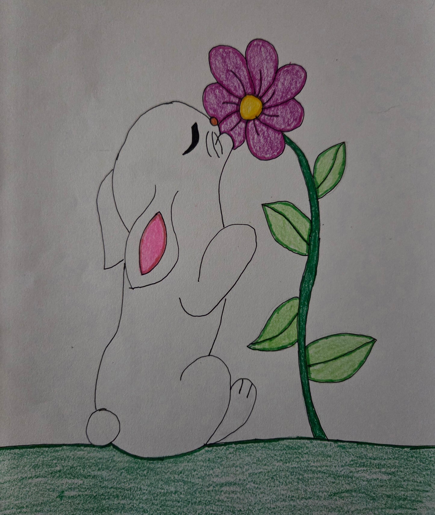 Bunny sniffing a flower