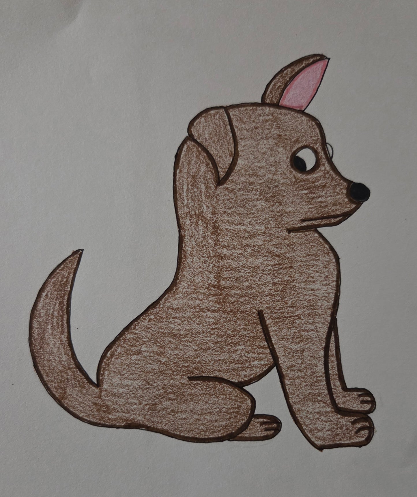 Cute dog