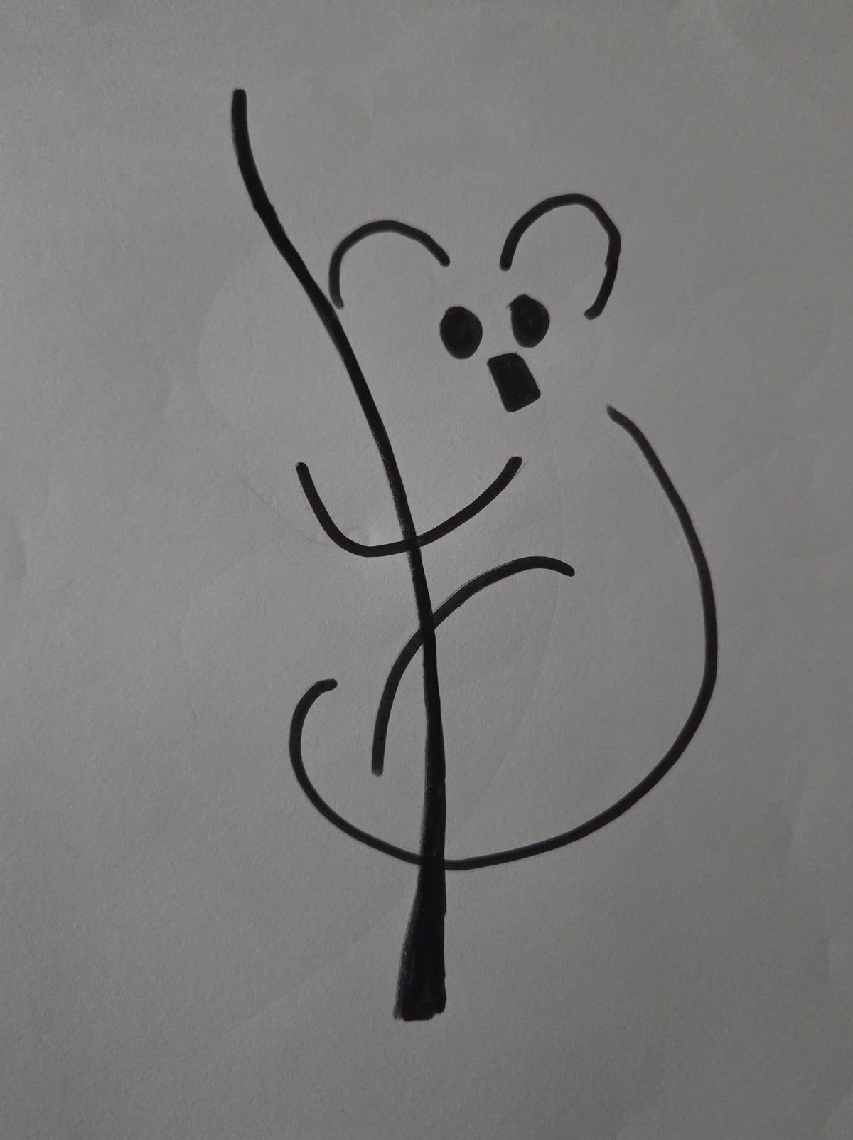 Koala bear made out of lines